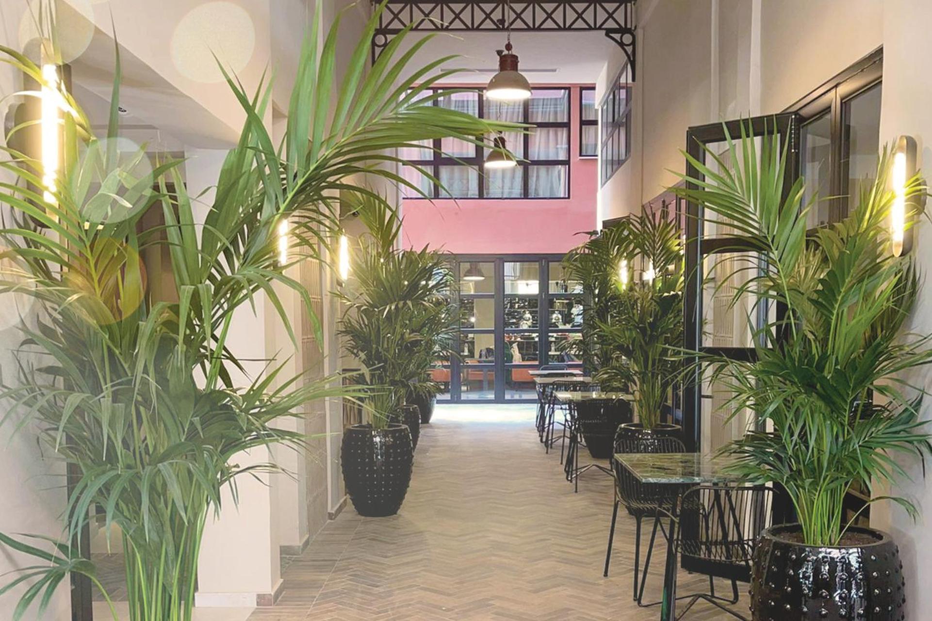 Anise, Aluma Hotels & Resorts Athens Exterior photo